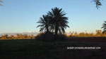 MAROC CAN-AM QUAD EVENEMENT