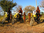 NAMIBIA MOTORRADREISEN ENDUROTOUREN QUADTOUREN GELÄNDEWAGENTOUREN ABENTEUERREISEN OFFROADTOUREN / NAMIBIA OMARURU ETOSHA NATIONALPARK OPUWO EPUPA ONGONGO SESFONTAIN PALMWAG SKELETTEN-KÜSTE CAPE CROSS 