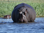 NAMIBIA MOTORRADREISEN ENDUROTOUREN QUADTOUREN GELÄNDEWAGENTOUREN ABENTEUERREISEN OFFROADTOUREN / NAMIBIA CAPRIVI SAMBESI VICTORIA WASSERFÄLLE