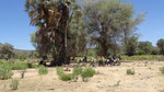 TOUR AVVENTURA 2026 - NAMIBIA - CON DANIELA - DESERT OFFROAD ADVENTURE