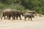 NAMIBIA MOTORBIKE TOURS ENDURO TOURS QUAD BIKE TOURS 4 x 4 SELF-DRIVE TOURS OFFROAD ADVENTURE TOURS / NAMIBIA OMARURU ETOSHA NATIONALPARK OPUWO EPUPA ONGONGO SESFONTAIN PALMWAG SKELETON COAST CAPE CROSS