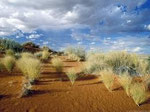 NAMIBIA MOTORRADREISEN ENDUROTOUREN QUADTOUREN GELÄNDEWAGENTOUREN ABENTEUERREISEN OFFROADTOUREN / NAMIBIA KALAHRI FISHRIVER CANYON SOSSUSVLEI
