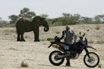 NAMIBIA MOTORRADREISEN ENDUROTOUREN QUADTOUREN GELÄNDEWAGENTOUREN ABENTEUERREISEN OFFROADTOUREN / NAMIBIA DESERT RHINO  WINDHOEK  KHOMASHOCHLAND OMARURU SPITZKOPPE BRANDBERG UIS TWYFELFONTEIN GAI AS UGAB RIVER MESSUM CRATER CAPE CROSS SKELETON COAST 