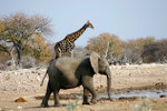 NAMIBIA MOTORBIKE TOURS ENDURO TOURS MOTORCYCLE TOURS QUAD BIKE TOURS 4 x 4 SELF-DRIVE TOURS OFFROAD ADVENTURE / NAMIBIA BOTSWANA ZAMBIA ZIMBABWE CAPRIVI ZAMBEZI VICTORIA WATERFALLS