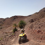 MAROC CAN-AM QUAD EVENEMENT 