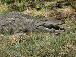 NAMIBIA MOTORRADREISEN ENDUROTOUREN QUADTOUREN GELÄNDEWAGENTOUREN ABENTEUERREISEN OFFROADTOUREN / NAMIBIA CAPRIVI SAMBESI VICTORIA WASSERFÄLLE