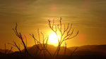 ABENTEUERTOUR 2026 - NAMIBIA - MIT DANIELA - DESERT OFFROAD ADVENTURE
