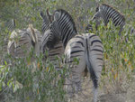 NAMIBIA MOTORRADREISEN ENDUROTOUREN QUADTOUREN GELÄNDEWAGENTOUREN ABENTEUERREISEN OFFROADTOUREN / NAMIBIA CAPRIVI SAMBESI VICTORIA WASSERFÄLLE