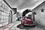 The red beetle - Arequipa - Peru