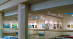 【第17回絵画グループ展】2018年1月31日～2月5日 展示：41点 ※画像掲載の承諾を得ておりませんのでメンバー様の作品は、ぼかしてUPさせて頂きます。
