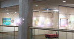 【第21回絵画グループ展】2025年2月19日～2月24日  ※メンバー様の作品は、ぼかしてUPさせて頂きます。