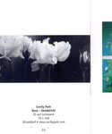 Kunst & Designpreis "Blatt und Dorn" Lippische Rose e.V. Horn - Bad Meinberg (N), 2010 