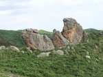 roccia