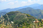 monte papa