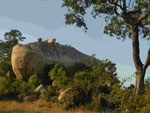 Felsen in Kruger National Park, Südafrika