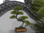 Chinesischer Garten, Botanischer Garten Montreal, Kanada