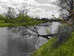Landschaft bei Lebus an der Oder