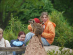 Erdmännchen im Zoo Leipzig