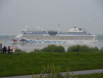 MS Aidasol vor Krautsand an der Elbe