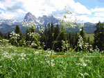 Blick auf die Seiser Alm und den Langkofel, Südtirol