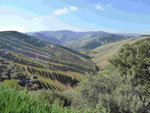 Portweinberge am Douro, Portugal
