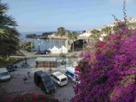 Blick auf Camara de Lobos, Madeira