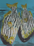 Gouache: Seychellen - gestreifte Fische