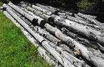 Gefälltes Holz auf der Seiser Alm, Südtirol