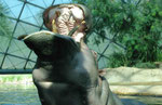 Im Berliner Zoo