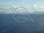 Blick auf die Vulkaninsel Sao Vicente, Kapverden