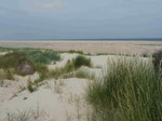 Dünenlandschaft auf Borkum