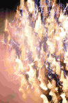Havel in Flammen 2022