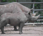 Im Berliner Zoo