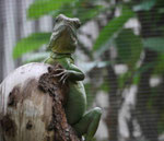 Im Aquarium Berlin