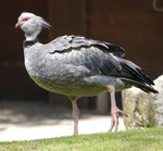 Im Berliner Zoo