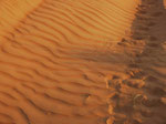 In der Sandwüste bei Wahibi Sands, Oman