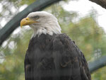 Im Berliner Zoo