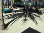 Palmenschatten auf Westsamoa
