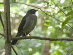 ? Costa Rica