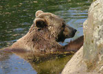 Im Berliner Zoo
