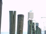 Anleger auf Amrum