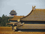 Dächer in der Verbotenen Stadt, Peking, China