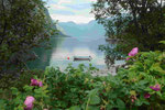 Am Sognefjord bei Flam in Norwegen