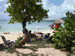 Am Point Marin auf Martinique, Frankreich