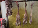 Enten im Restaurant in Nanjing, Volksrepublik China