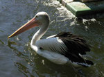 Im Berliner Zoo