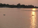 Sonnenuntergang mit Flusspferden am Okawango in Namibia