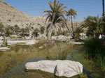 Wadi Bani Khalid, Oman