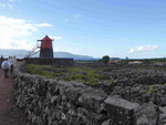 Windmühle im Weinfeld auf Pico, Azoren