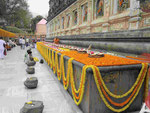 Blumenspenden am  Mahabodhi Tempel von Bodhgaya, Indien